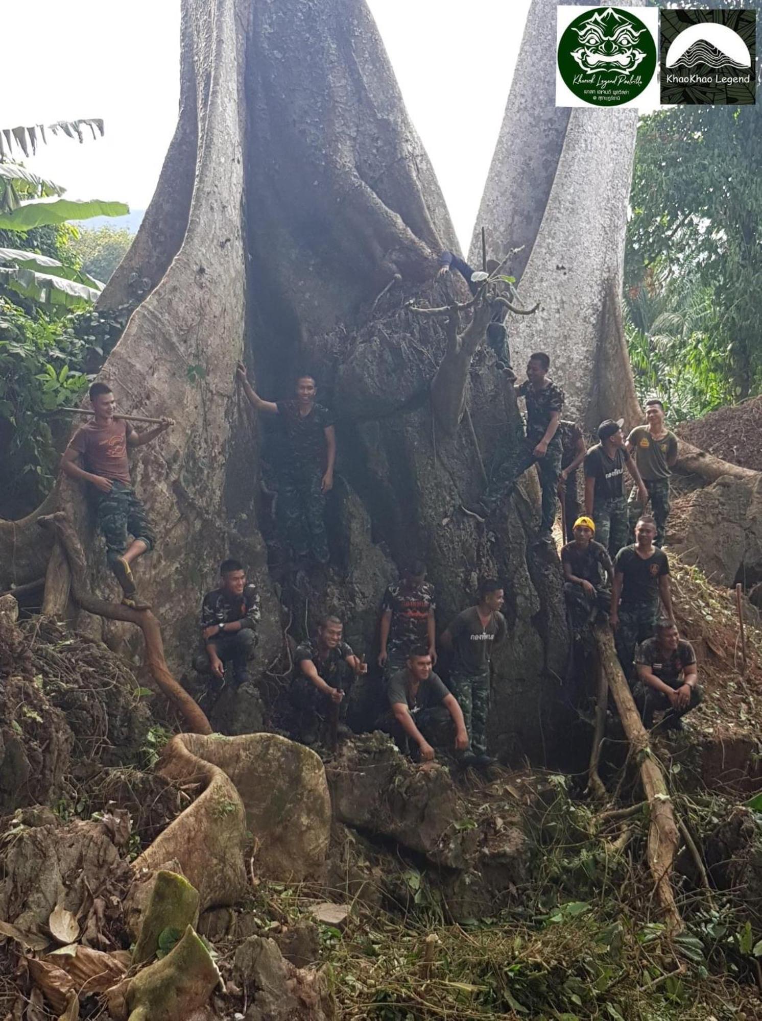 Willa Khaosok Legend Khao Sok National Park Zewnętrze zdjęcie